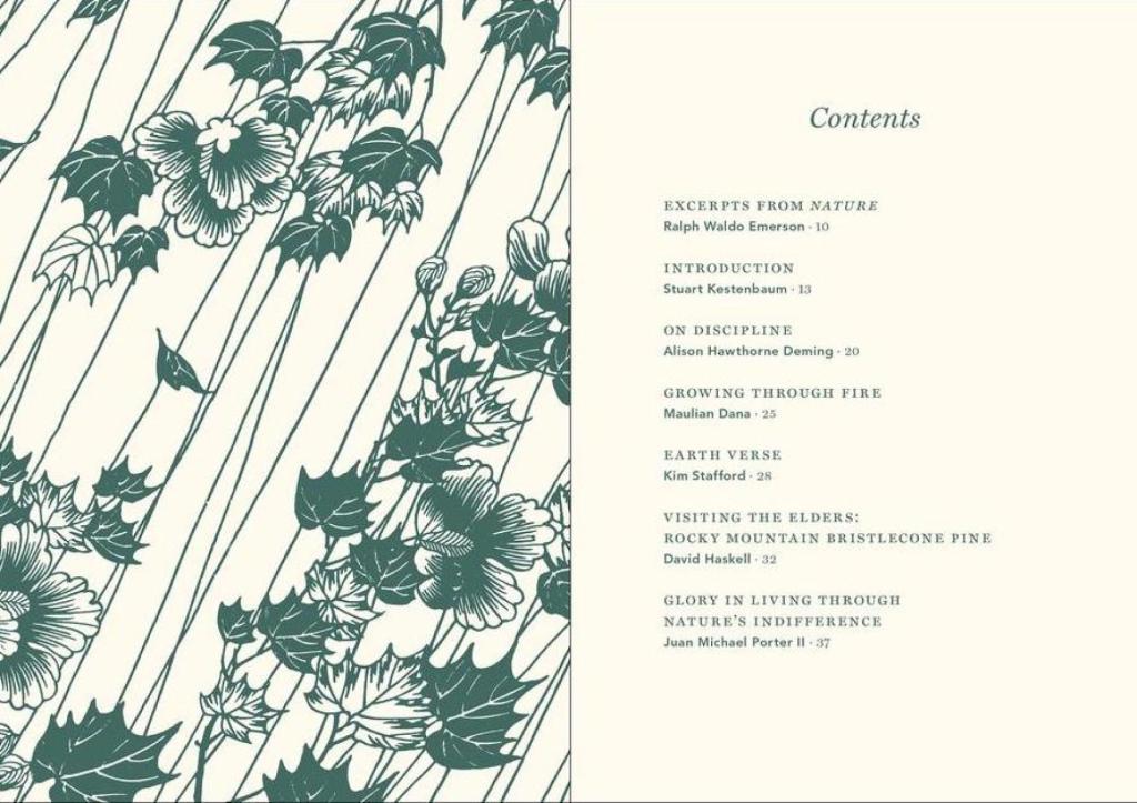 Visualizing Nature -Table of Contents