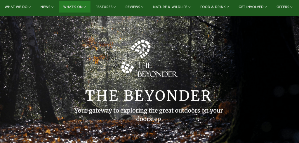 The Beyonder Screenshot