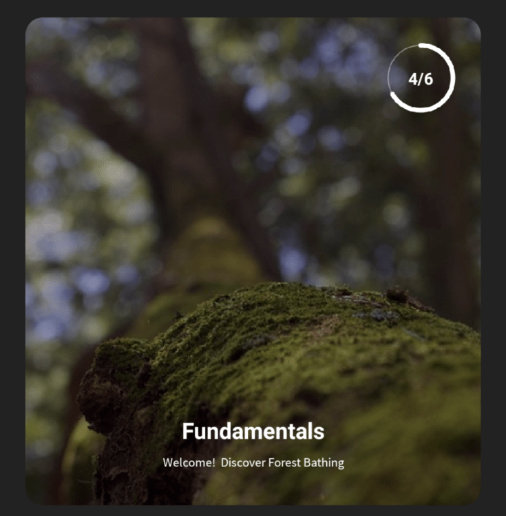 Forest Bathing Life app