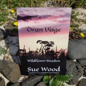 Oran Visge Cover