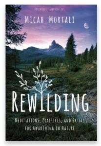 Rewilding Cover