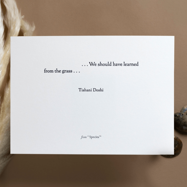 Letterpress prints by Myrna Keliher/photo by Lucero Torres