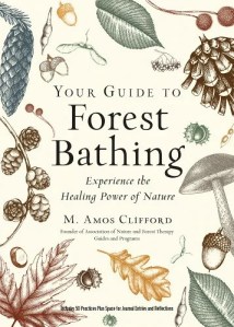 Your Guide to Forest Bathing by Amos Clifford