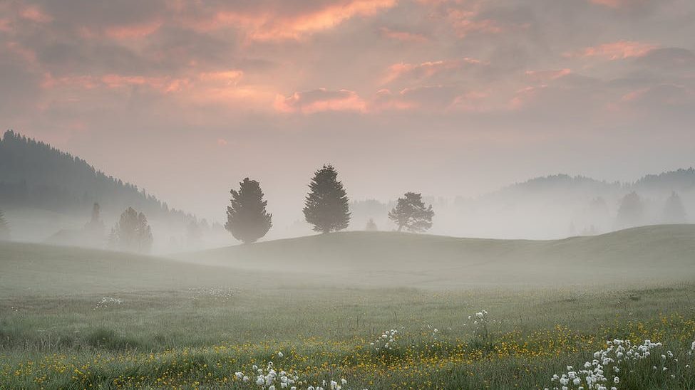 Fog Lifting photo by Gianluca Grisenti on Pexels.com