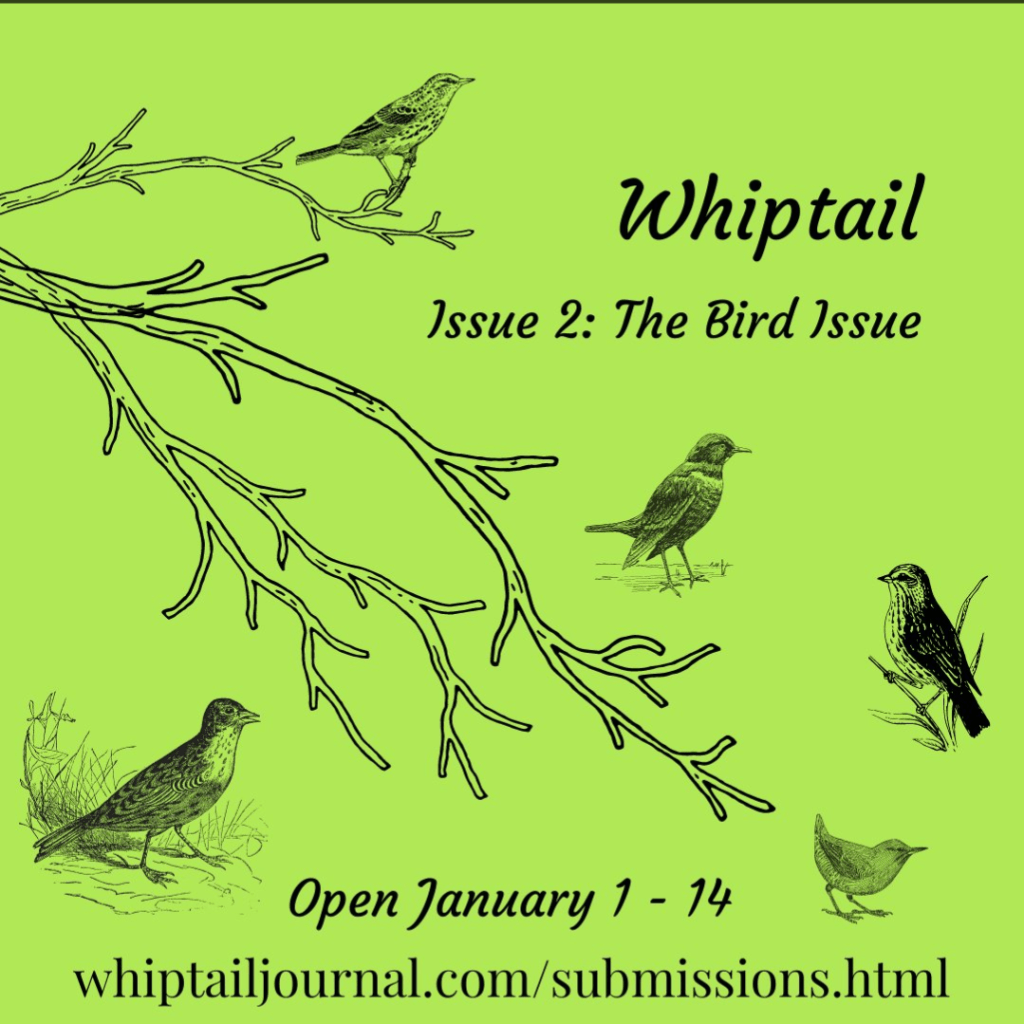Whiptail Journal SM post