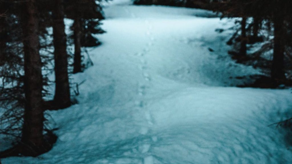 Footprints in snow/Photo by Tobias Bju00f8rkli on Pexels.com