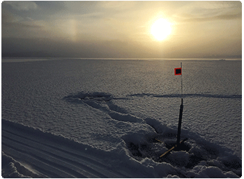 Tip-Up; Photo Credit VT Fish and Wildlife