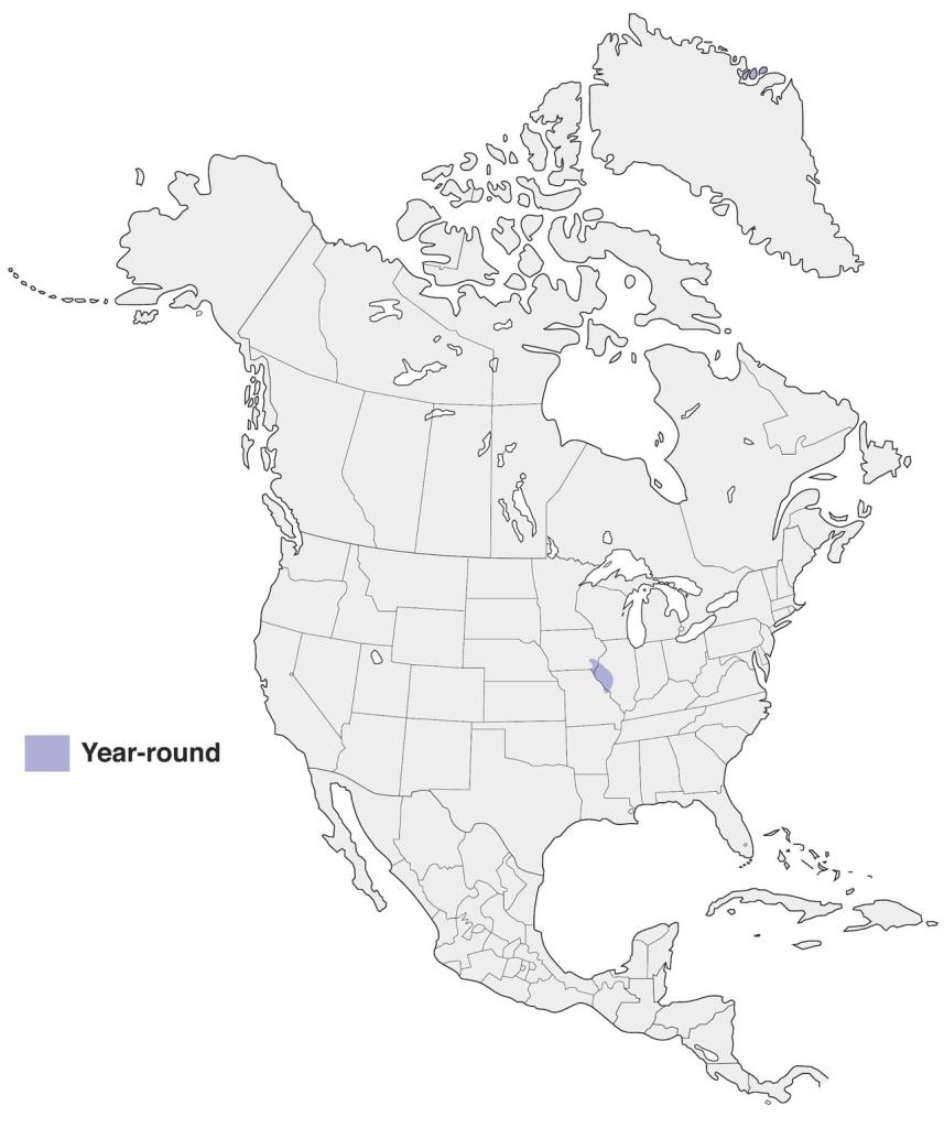 Eurasian Tree Sparrow Range Map/
Photo Credit: AllAboutBirds.org