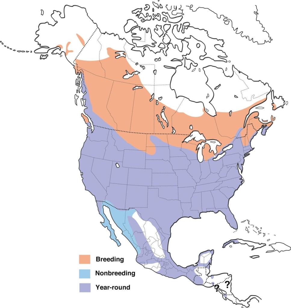 Red-Winged Blackbird Range Map/Photo Credit: All About Birds