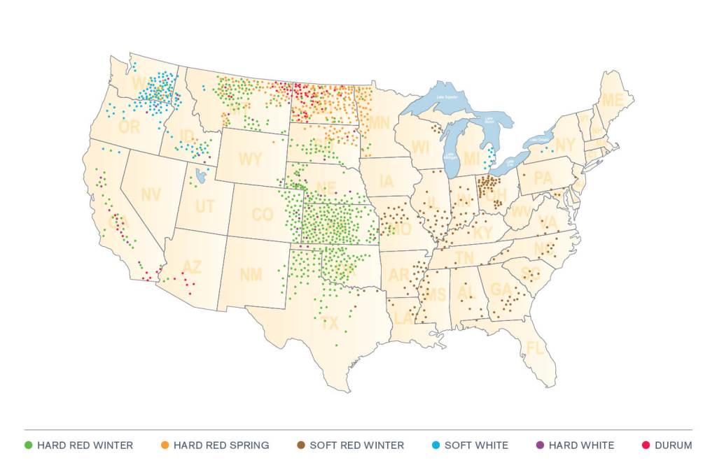 Wheat Distribution Map--Photo credit: National Association of Wheat Growers