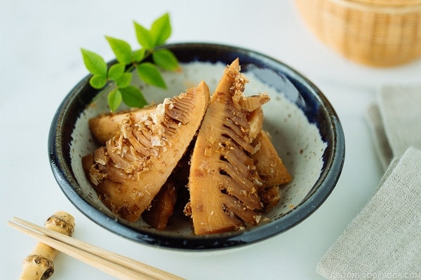 Simmered Bamboo Shoots: Photo Credit-Namiko Chen/Just One Cookbook