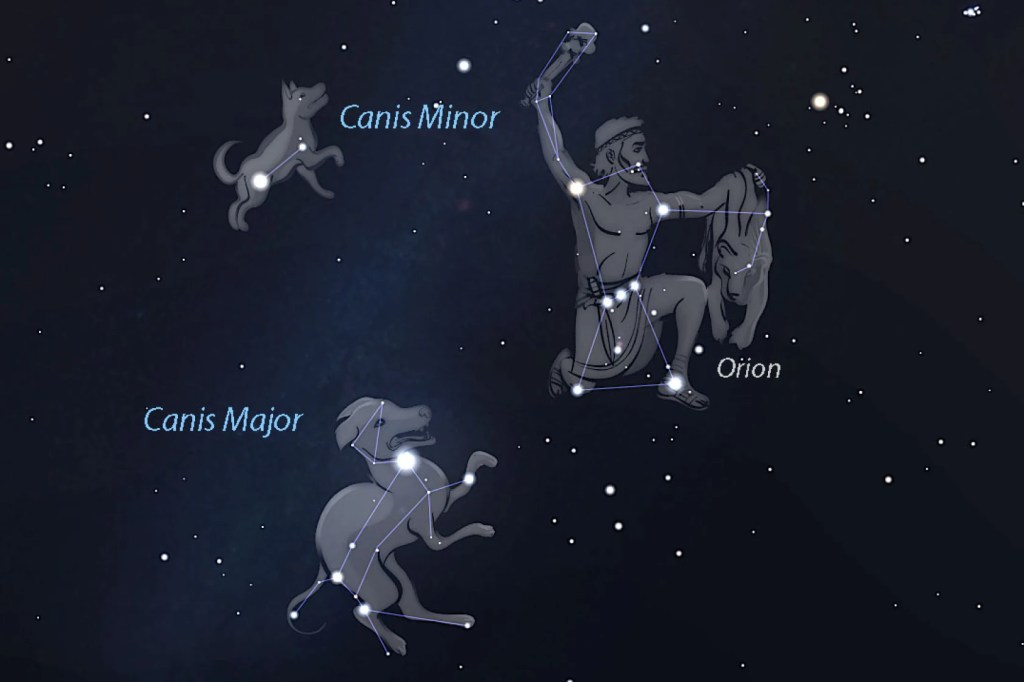 Orion, Canis Major, and Canis Minor; Photo Credit Stellarium/Duluth News Tribune