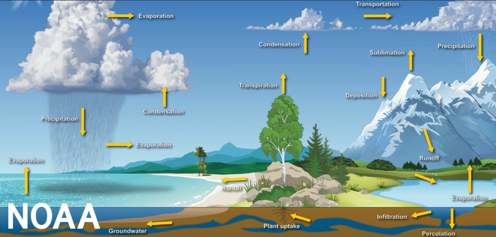 Water Cycle Illustration by Dennis Cain/NWS