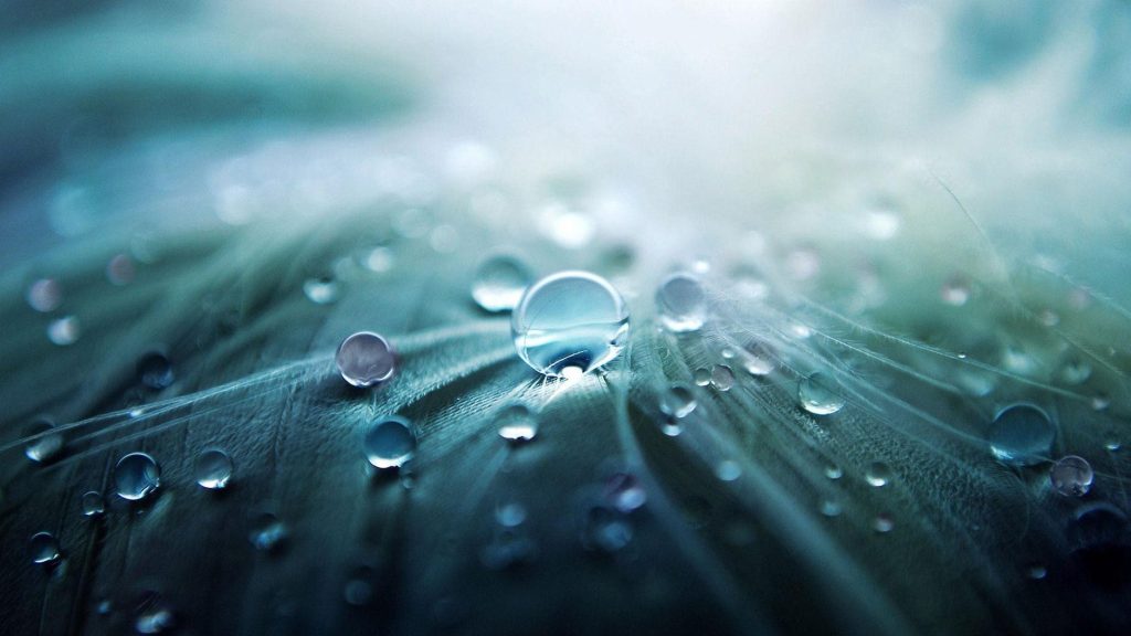 Dew Photo by Pixabay on Pexels.com