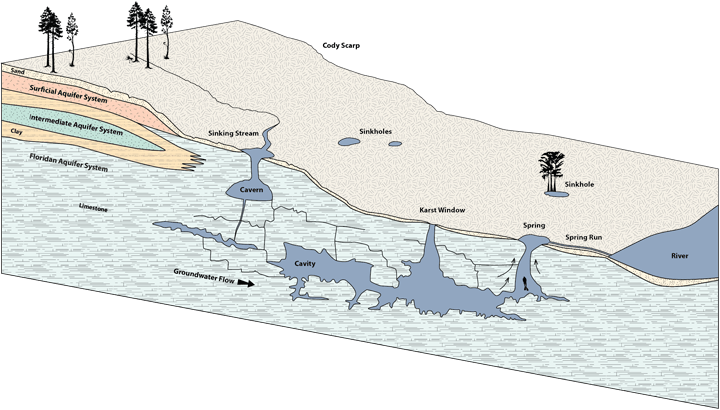 What is a spring diagram 