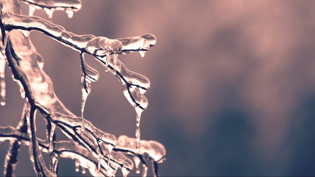 Icicles photo by Dan Hamill on Pexels.com