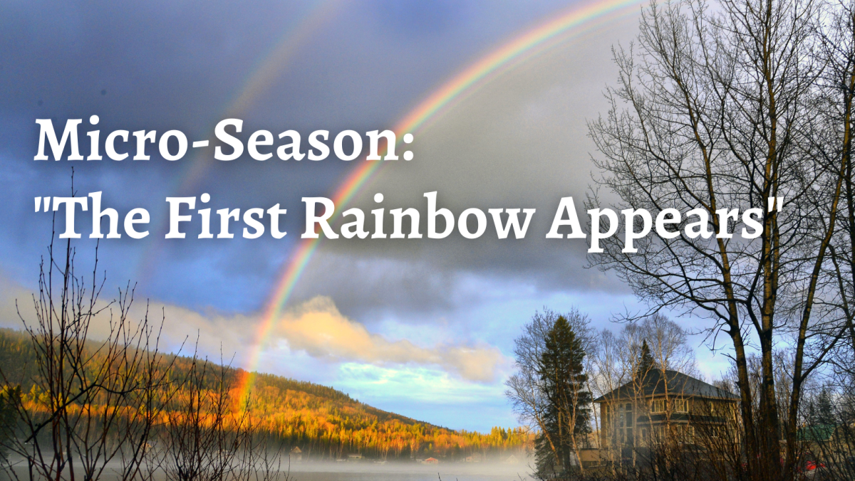 Micro-Season: “The Rainbow First Appears” (2023) – SeasonWords.com