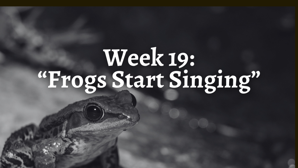 Week 19: “Frogs Start Singing”