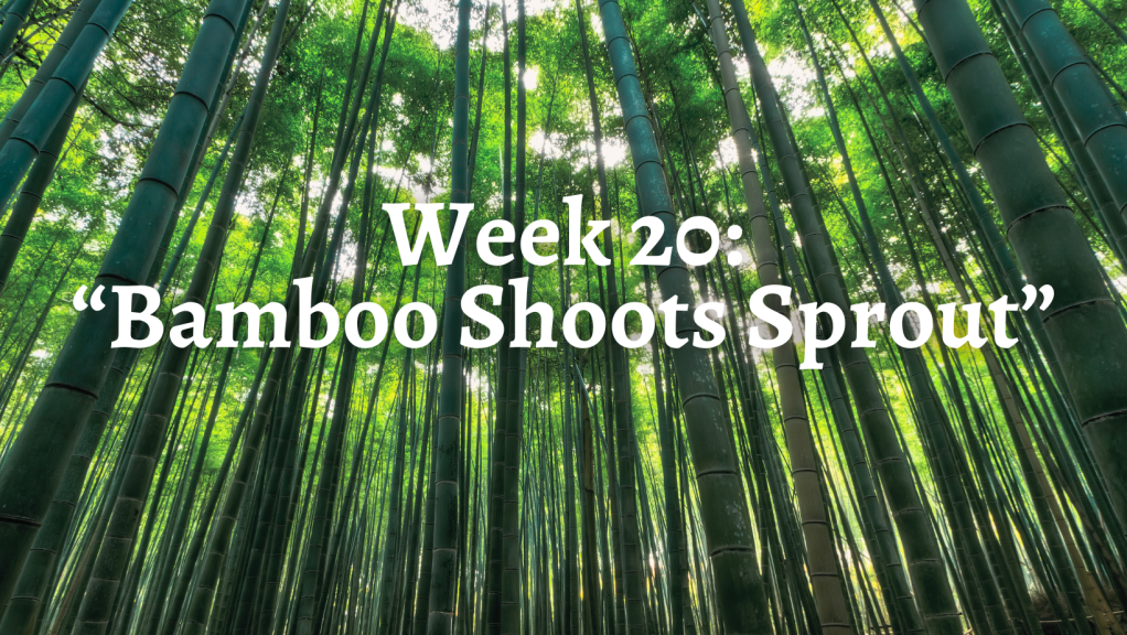 Week 20: “Bamboo Shoots Sprout”