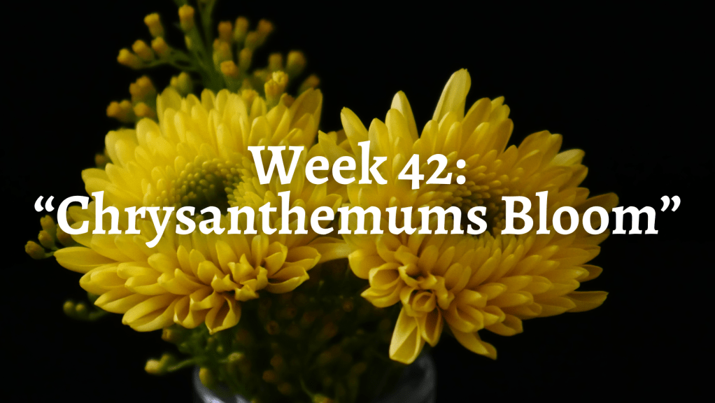 Week 42: “Chrysanthemums Bloom”